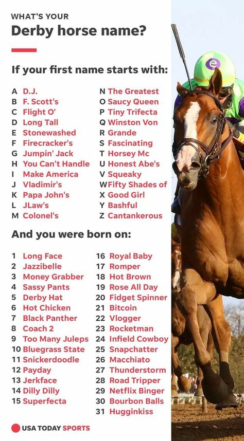 Your Kentucky Derby Horse Name Horse Show Names, Kentucky Derby Decorations, Kentucky Derby Food, Kentucky Derby Theme, Kentucky Derby Party Games, Derby Games, Kentucky Derby Themed Party, Derby Party Food, Horse Racing Party