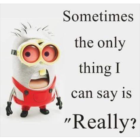 Comic Script, Solar Eclipses, Minion Quotes, Minions Quotes, Minions Funny, Solar Eclipse, Quotable Quotes, Amazing Quotes, How I Feel