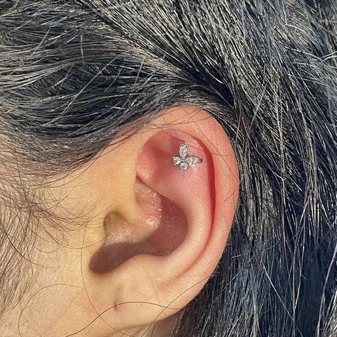 Flat Ear Piercing, Flat Piercings, Inner Ear Piercing, Minimalist Ear Piercings, Flat Piercing, Types Of Ear Piercings, Types Of Piercings, Silver Flats, Ear Piercing