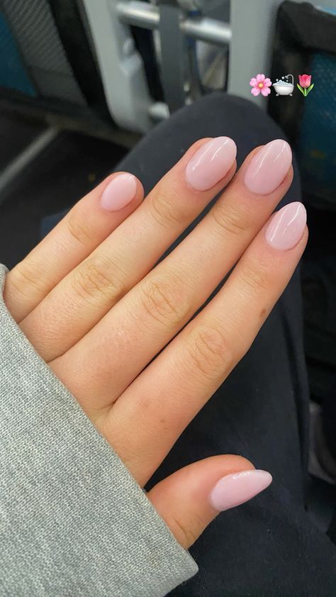 Regular Gel Nails Manicures, Short Coffin Light Pink Nails, Shortish Nails Acrylic, Light Pink Dipped Nails, Light Pink Natural Nails Short, Simple Senior Picture Nails, Light Pink Nail Inspo Short, Natural Nails Light Pink, Cute And Basic Nails