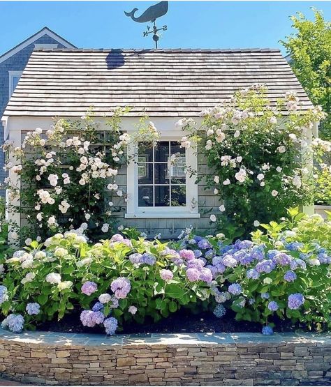 Have Inspiration, Garden Cottage, Country Gardening, Yard Ideas, English Garden, Front Garden, Small Garden, Dream Garden, Yard Landscaping