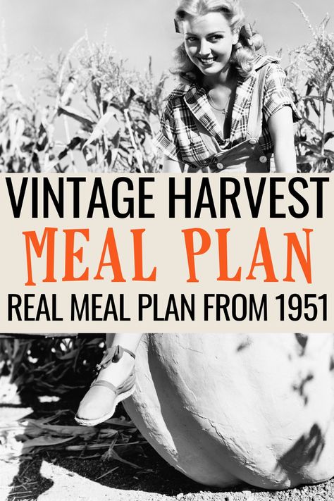 Step back in time with 1950s Fall Meal Plans, where we revisit classic autumn dishes and meal ideas reminiscent of the golden era. Explore nostalgic recipes that capture the essence of the 1950s, bringing a touch of timeless charm to your modern fall dining experience. Vintage Cooking Recipes, Ration Recipes, Vintage Food Advertisements, Vintage Recipes 1950s, Vintage Fall Recipes, 1950s Meals, 1950s Recipes, 1930s Food, That 1870s Homestead Recipes