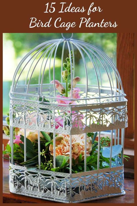 Bird Cage Flower Planter, Bird Cage With Flowers, Ideas For Bird Cages, Wire Bird Cage Decor Ideas, Decorating Birdcages Ideas, Bird Cage Decor Ideas Indoor, Small Bird Cage Decor Ideas, Bird Cage Decoration Ideas, Bird Cages Diy