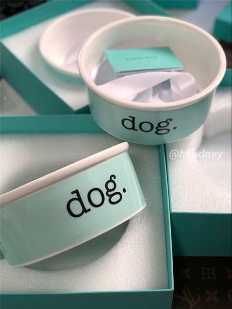 Tiffany Dog Collar, Luxury Dog Bowls, Pink Penthouse, Planning Future, Tiffany Gifts, Dog Accesories, Pet Market, Dog Mommy, Puppy Accessories