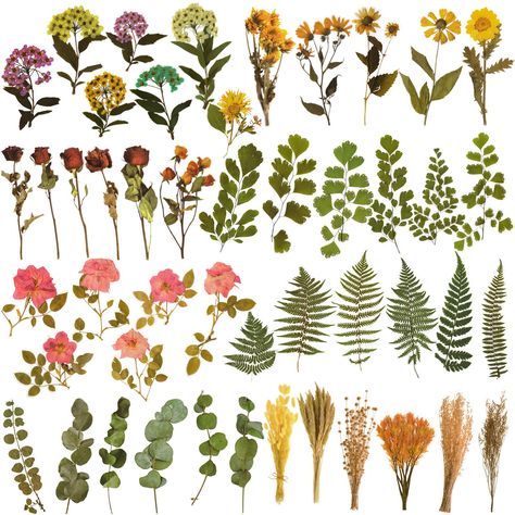 PRICES MAY VARY. Value Pack: You will receive 48 pieces of assorted plants flowers stickers, including daisy, rose, eucalyptus leaves, fern, pressed flowers and more nature-themed designs without repeat. Each transparent waterproof sticker is measured approx. 8" x 4" (sizes vary from different designs). Aesthetics Set: The designs of these PET vintage plant flower decals are very realistic and absolutely beautiful. With eye-catching vintage inspired look and feeling, the scrapbooking supplies de Vintage Flower Printable Sticker, Flowers For Journal Printable, Nature Stickers Aesthetic, Nature Aesthetic Stickers, Nature Stickers Printable, Plant Stickers Printable, Sourav Ganguly Art, Vintage Flowers Stickers, Sticker Set Aesthetic