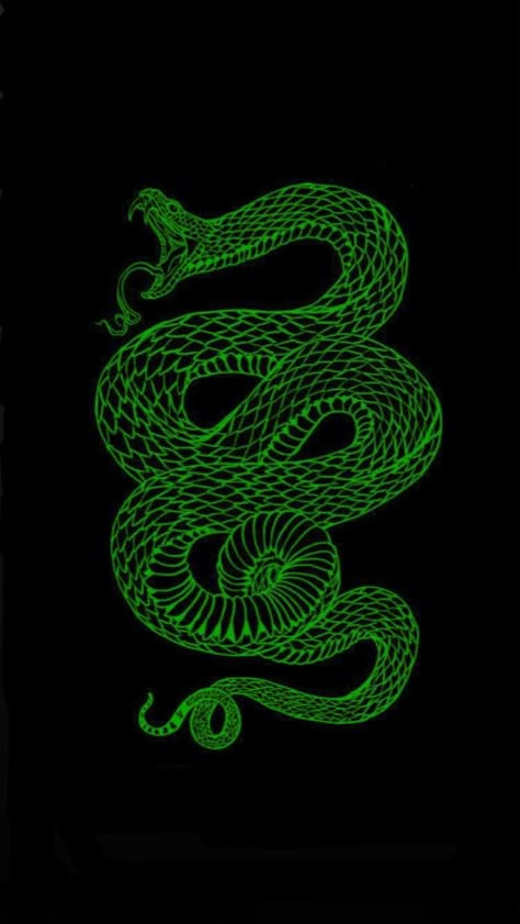 Tattoo Boy Aesthetic, Slytherin Wallpaper, Green Room Decor, Snake Logo, Dragon Wallpaper Iphone, Grunge Posters, Snake Drawing, Snake Wallpaper, 4k Wallpaper Iphone