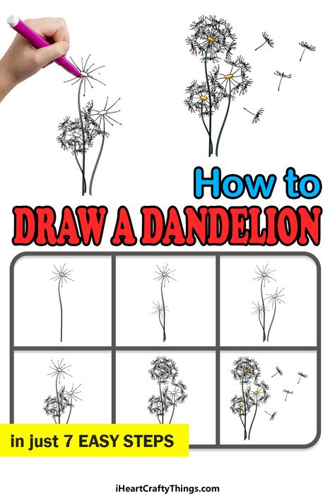 Dandelion Drawing Step By Step, How To Draw Dandilion, How To Draw A Dandelion Step By Step, How To Draw Dandelion, How To Draw A Dandelion, Draw A Dandelion, Dandelion Drawing, Snoopy Drawing, Christian Drawings