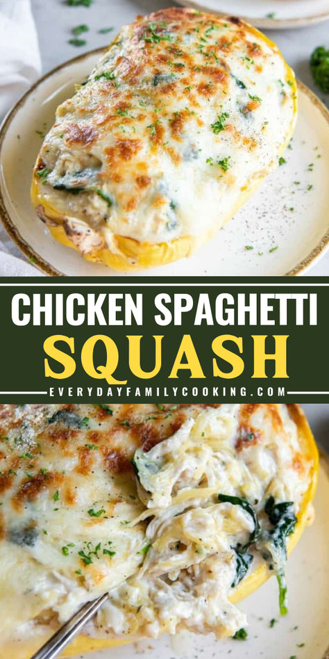 Looking for an enjoyable delicious dinner? This chicken spaghetti squash will satisfy your cravings! This easy recipe can be made in just 6 easy steps in 1 hour and 10 minutes. Save this pin and share this with your friends! Cheesy Chicken And Broccoli Stuffed Spaghetti Squash, Chicken And Broccoli Twice Baked Spaghetti Squash, Chicken Spaghetti With Spaghetti Squash, Ground Chicken Spaghetti Squash Recipes, Chicken And Broccoli Spaghetti Squash, Paleo Chicken Spaghetti Squash, Chicken Alfredo Spaghetti Squash Recipes, Chicken Broccoli Alfredo Spaghetti Squash, Creamy Stuffed Spaghetti Squash