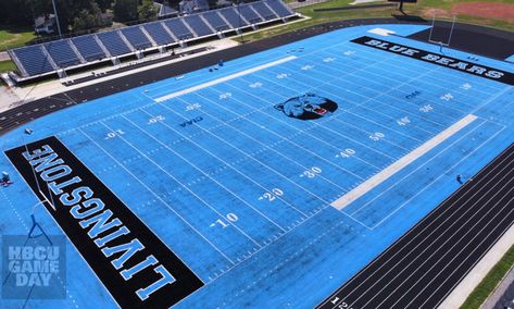 Livingstone College, Football Hall Of Fame, Livingstone, Blue Football, Football Field, Freshman Year, Carolina Panthers, National Football League, Livingston