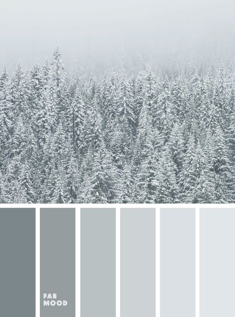 Beautiful winter color palette inspiration : Misty grey green color scheme Colour Palette Inspiration Grey, Silver Mist Color Palette, Cool Grey Palette, White Marble Color Palette, Silver Color Palette Colour Schemes, Silver Pallete Color, Cool Grey Color Palette, Grey Palette Colour Schemes, Colour Palette Gray