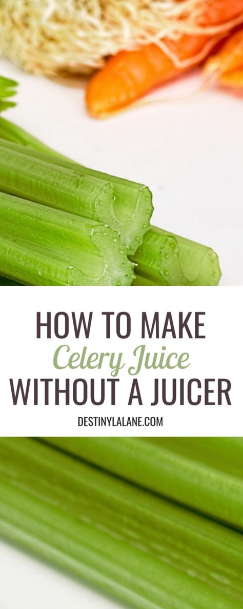 How to make celery juice at home without a juicer including simple tricks to help you eat healthy while traveling Eat Healthy While Traveling, Juice Without A Juicer, Fast Healthy Lunches, Healthy Nutrition Plan, Fermentation Recipes, Brown Spots Removal, Celery Juice, Eat Healthy, Juicing Lemons