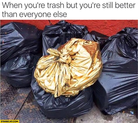 when you're trash but still better | When you’re trash, but you’re still better than everyone else ... Nikki Sixx, Humor Grafico, Dan And Phil, Yoga Sequences, Women Humor, On The Ground, Funny Pins, Bones Funny, Funny Posts