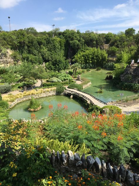 Japanese Tea Garden, San Antonio Japanese Tea Garden San Antonio, San Antonio Aesthetic, San Antonio Japanese Tea Garden, San Antonio Botanical Garden, 2024 Era, Texas Attractions, San Antonio Photography, Tea Gardens, Dream Dates