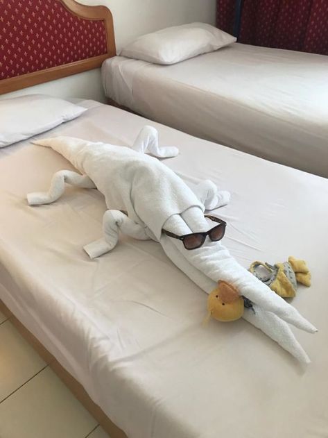 Bed Fort, Hotel Shampoo, Towel Origami, Crescent Hotel, Towel Animals, Vintage Rv, Potter Facts, Hotel Reception, Hotel Services