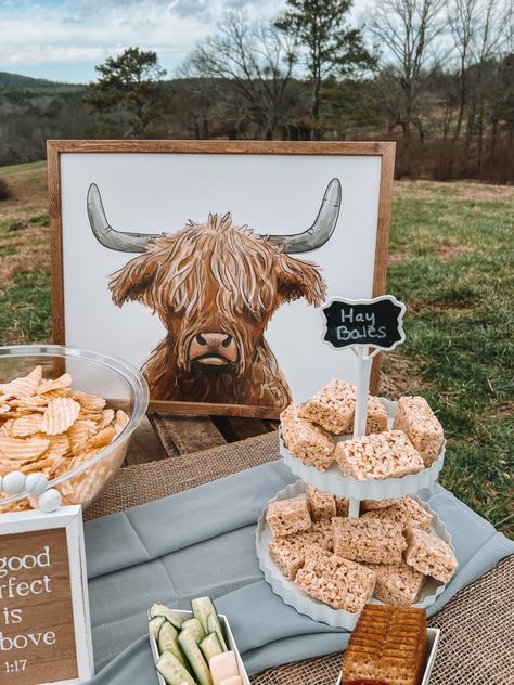 Bull Or Heifer Gender Reveal, Rodeo Baby Shower, Cow Baby Shower Theme, Rodeo Baby, Baby First Birthday Themes, Rodeo Birthday Parties, Cow Birthday Parties, Cow Baby Showers, Western Birthday Party