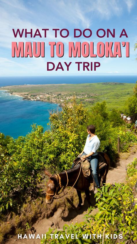 This guide takes you through the best activities and sights Moloka'i has to offer, from breathtaking hikes and historical landmarks to encounters with local wildlife and pristine beaches. Discover the island's unspoiled nature and warm hospitality, making your day trip an enriching experience. Ideal for those seeking adventure and cultural immersion, this guide is your ticket to exploring the real Hawaii away from the crowds. Molokai Hawaii, Trip To Maui, Historical Landmarks, Hawaii Travel, Travel With Kids, Family Vacation, Day Trip, Maui, Family Travel