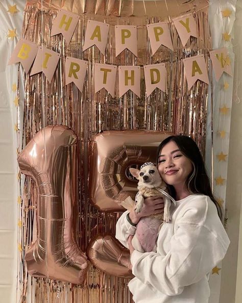 Little Dog Is So Happy That People Remembered Her Birthday - The Dodo Dog Quinceanera Party, Dog Quinceanera, Chihuahua Birthday, Surprised Dog, Fifteenth Birthday, 17th Birthday Ideas, Pet Things, Daisy Cakes, 15 Birthday