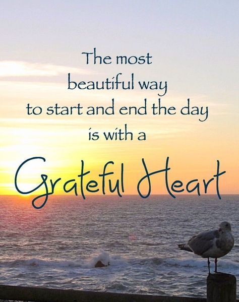 Choose to Be Thankful with these Grateful Heart Quotes - EnkiVillage Blessed Quotes Thankful, Grateful Heart Quotes, Good Heart Quotes, Grateful Quotes, Thankful Quotes, Feeling Thankful, Motiverende Quotes, Blessed Quotes, Short Inspirational Quotes