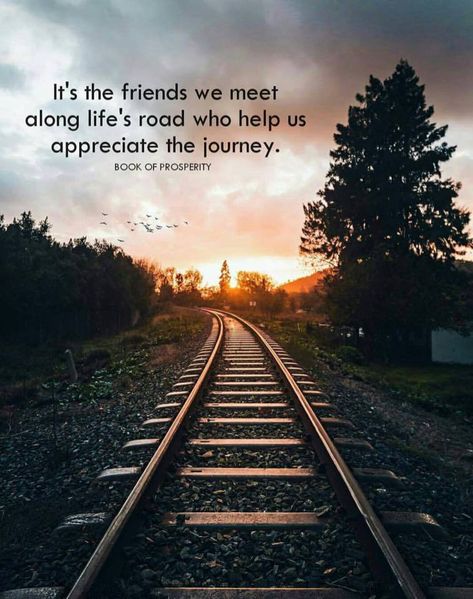 It's the friends we meet along life's road who help us appreciate the journey. Picture Sayings, Road Quotes, Positive Daily Quotes, Path Quotes, Billionaire Motivation, Be Your Own Hero, Journey Quotes, Life Learning, Healing Words