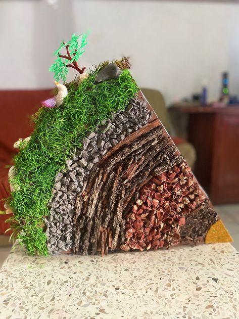 Earth Model Project Ideas, Social Science Projects Ideas, Environmental Science Projects, Science Exhibition Projects, School Science Projects, Biology Projects, Creative School Project Ideas, Science Crafts, School Creative