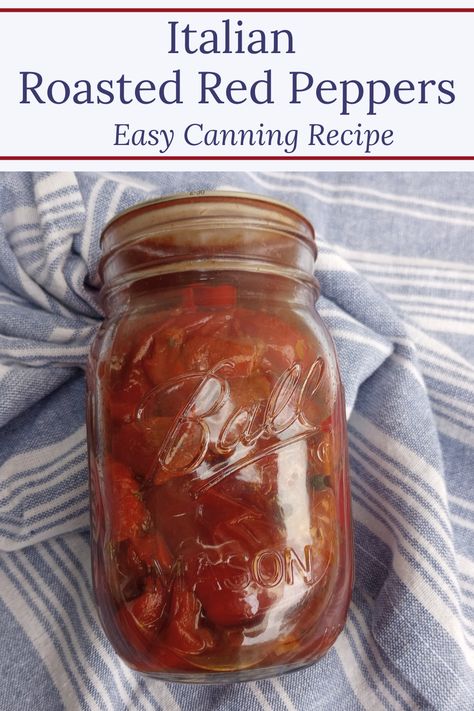 Tender, sweet, with just the right amount of heat. These Italian Roasted Red Peppers will be a delicious addition to all of your favorite recipes. This is an easy pressure canning recipe that you will want to have on your pantry shelf all year long! #canning #preserving #peppers #gardening Roasted Red Pepper Canning Recipes, Preserving Roasted Red Peppers, Preserving Red Peppers, Canning Red Peppers, Canning Peppers Recipes, Canning Roasted Peppers, Canning Roasted Red Peppers, Roasting Red Peppers, Roasted Red Pepper Salsa