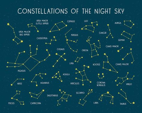 Types Of Constellations, Different Constellations, All The Constellations, Constellation Classroom Decor, Star Theme Room, Pretty Constellations, Constalation Stars, Draw Constellations, Constellation Mural