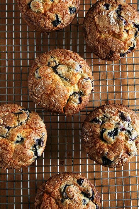 Lemon-Blueberry Muffins Resep Muffin, Lemon Blueberry Muffins Recipe, Jumbo Muffins, Blueberry Breakfast Cake, Lemon Blueberry Muffins, Blueberry Breakfast, Lemon Muffins, Muffin Recipes Blueberry, Chicken Tortilla