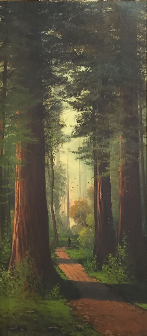 John Engelhart - Giant Sequoia Grove http://www.bradyhart.com/joseph-john-engelhart/vybo7c9sam2lujf373o01zfp8uy4io Redwood Landscaping, Redwood Illustration, Redwood Painting, Sequoia Tree Painting, Sequoia Tree Illustration, Redwood Trees Painting, Sequoia Painting, Woods Artwork, Redwood Tree Illustration