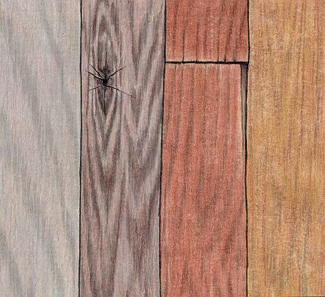 How to Draw Realistic Wood Grain Mastering Wood Grain How To Draw Wood, Grain Illustration, How To Draw Realistic, Comic Inspiration, Drawing Realistic, Draw Realistic, Realistic Rose, Texture Drawing, Realistic Drawing