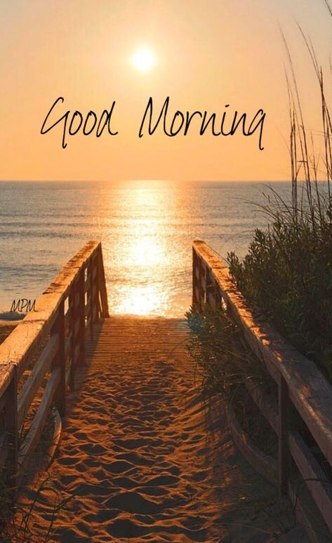 Good Morning Beach, Jalaram Bapa, Good Morning Nature Images, Morning Beach, Quotes Morning, Good Morning Greeting Cards, Morning Memes, Positive Good Morning Quotes, Good Morning Funny Pictures