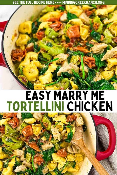 Marry Me Tortellini Chicken Creamy Pesto Chicken Tortellini, Marry Me Chicken With Tortellini, Chicken Tortellini Recipes, Tortellini Chicken, Cheesy Tortellini, Sun Dried Tomato Sauce, Meal For Two, Chicken Tortellini, Tortellini Recipes