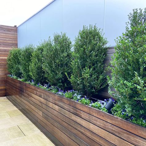 Rooftop Landscaping in Minneapolis - Eclectic - Landscape - Minneapolis - by yardscapes Inc. | Houzz Built In Planters Outdoor, Planter Along Fence, Patio Wall Planters, Rooftop Landscape, Rooftop Planters, Rv Port, Garden Landscaping Ideas, Fence Planters, Sea Point