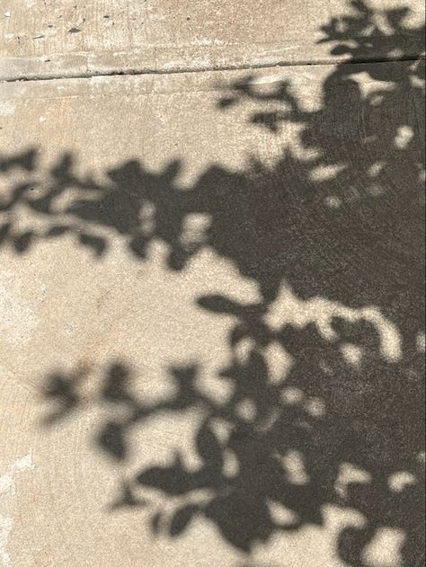 shadows of leaves on the pavement Summer Trees Aesthetic, Pavement Aesthetic, Tree Shadow Painting, Shadows Aesthetic, Pond Wallpaper, Leaves Shadow, Aesthetic Leaves, Aesthetic Shadow, Shadow Aesthetic