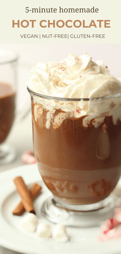 Vegan Hot Chocolate Healthy Vegan Hot Chocolate, Best Vegan Hot Chocolate, Dairy Free Hot Chocolate Recipe, Hot Cocoa Recipe Stovetop, Non Dairy Hot Chocolate, Vegan Hot Chocolate Mix Recipe, Vegan Hot Cocoa Recipe, Vegan Mexican Hot Chocolate, Vegan Hot Chocolate Recipe