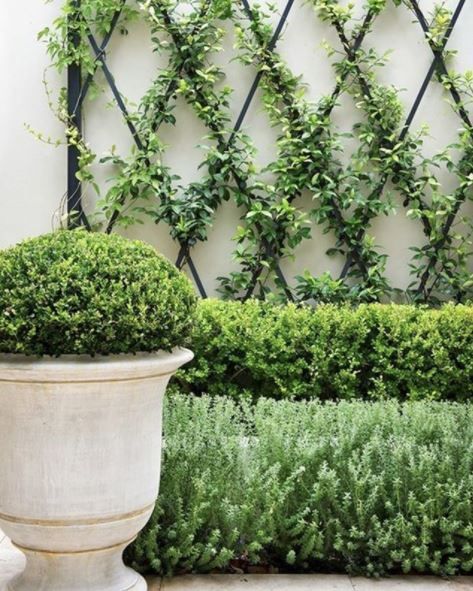 French Themed Garden Ideas: How To Design Your Own Beau Jardin 6 Side Return Garden Ideas, Side Return Garden, Small Garden Inspiration, Boxwood Landscaping, Courtyard Landscaping, French Country Garden Decor, Diy Garden Trellis, Jardim Diy, Country Garden Decor