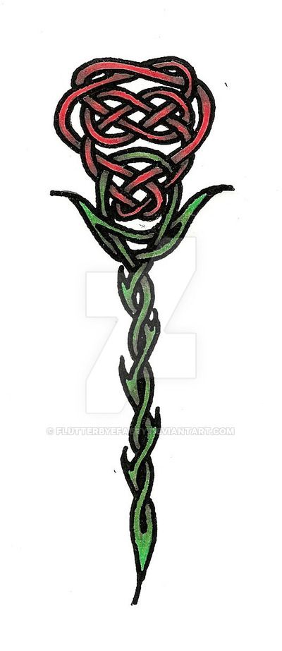 Celtic Rose by flutterbyefaery on DeviantArt Celtic Rose, Celtic Artwork, Tree Id, Celtic Knot Designs, Celtic Knots, Celtic Symbols, Celtic Art, Prismacolor Pencils, Crows