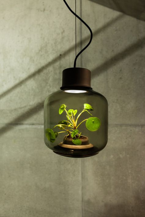 Mygdal by Studio We Love Eames Hemma Diy, Plant Lighting, Lampe Design, Apartment Garden, German Design, Design Light, Luz Natural, Mason Jar Lamp, Design Milk