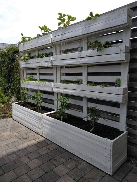 Pallet Garden Walls, Pallet Projects Garden, Pallet Garden, Pallets Garden, Have Inspiration, Patio Designs, Garden Yard Ideas, Rooftop Garden, Outdoor Decor Backyard