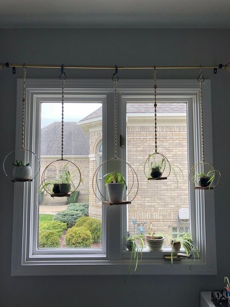 Hanging plants indoor bedroom