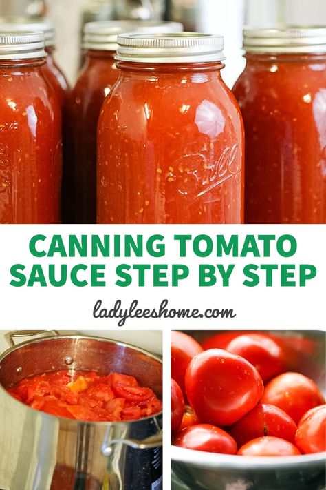 Canning Tomatoes Water Bath, Canning Tomato Sauce, Canning Fruit Recipes, Preserve Tomatoes, Canning Tomatoes Recipes, Water Bath Canning Recipes, Can Tomato Sauce, Easy Canning, Pressure Canning Recipes