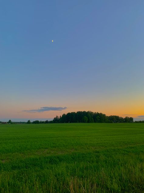 Grass Fields Aesthetic, Field Astetic, Open Fields Aesthetic, Field Asthetic Picture, Priya Core Aesthetic, Peaceful Places Aesthetic, Sunset Field Aesthetic, Summer Field Aesthetic, Nature Core Aesthetic