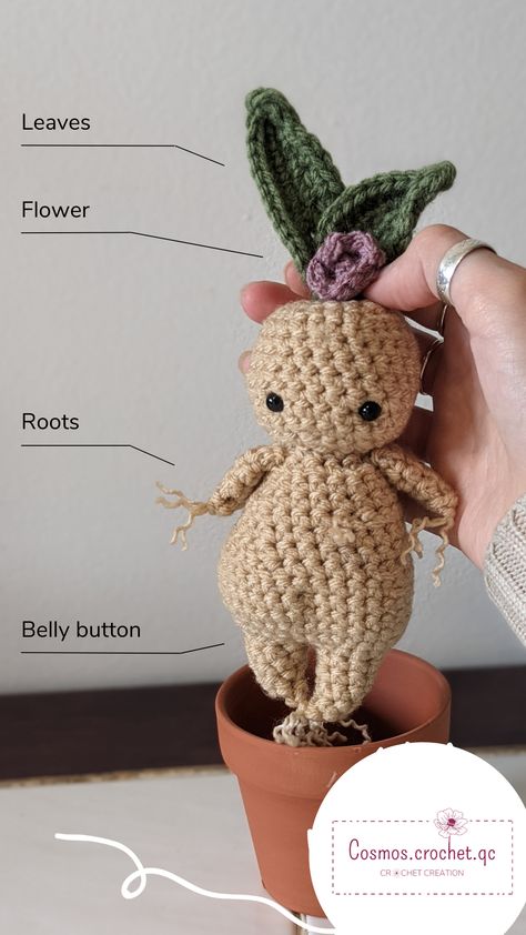 Crafting Dreams: DIY Amigurumi Mushroom Pattern Crochet Mandrake Pattern, Amigurumi Fantasy Creatures, Free Fantasy Crochet Patterns, Crochet Magical Creatures, Crochet Mandrake Pattern Free, Mandrake Crochet Pattern Free, Crochet Creatures Free Pattern, Crochet Fantasy Creatures, Crochet Fantasy Patterns