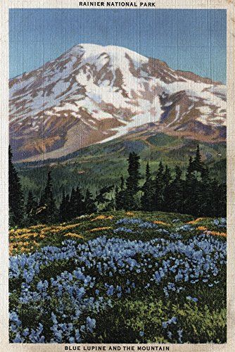 Mt Rainer Tattoo, Mt Rainier Tattoo, Aesthetic Postcards, Blue Lupine, Vintage National Park Posters, Background School, Patio Art, Collage Des Photos, Mt Rainier National Park