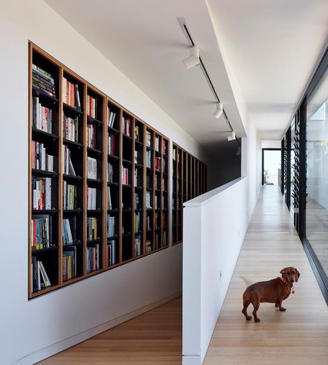 Audrey the Dachshund demonstrates one of the ramps that give her free rein of the house. Ramp And Stairs Architecture, Library Design Ideas, Ramps Architecture, Home Library Design Ideas, Accessible House, Ramp Stairs, Ramp Design, Stairs Architecture, Sausage Dogs