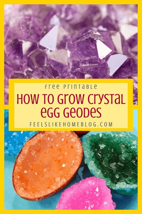 Egg Geodes, Diy Crystal Crafts, Crystals For Kids, Easter Science, Cave Quest, Grow Your Own Crystals, Crystal Growing, Borax Crystals, Science Experiment For Kids