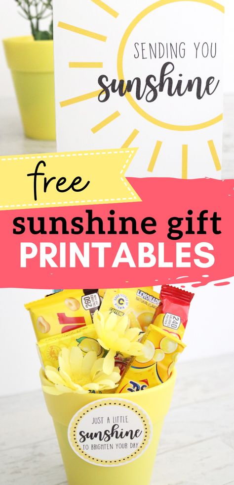 Sunshine Gift Basket, Basket Of Sunshine, Subway Gift Card, Sunshine Care Package, Sunshine Printable, Appreciation Gifts Diy, Staff Appreciation Gifts, Teacher Appreciation Gifts Diy, Box Of Sunshine