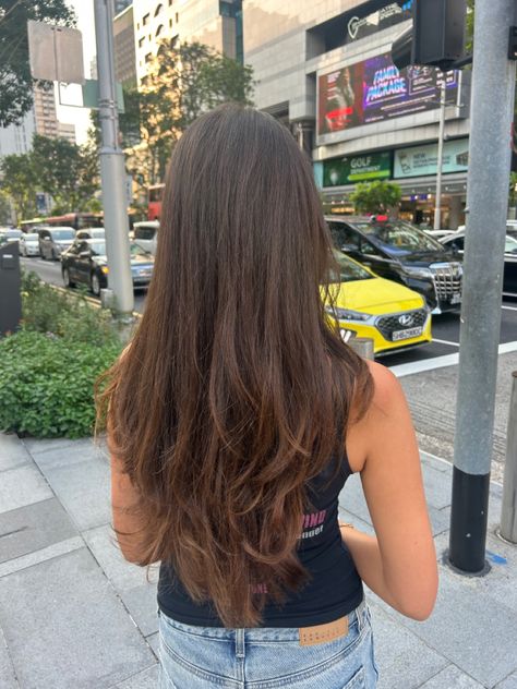 long layers haircut Straight Hair Layers Unstyled, Long Straight Hair Long Layers, Haircuts For Long Hair Without Bangs, Long Haired Layers, Long Hair With Slight Layers, Soft Layers For Long Hair, Lightly Layered Long Hair, Long Layered Haircuts Brown Hair, Chunky Layers Long Hair Straight