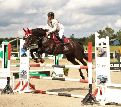 #equestrian #showjumping #competition #blackbeauty #equine #jumping Show Jumping Competition, Horse Jumping, Show Jumping, Reference Photos, Equestrian, Horses