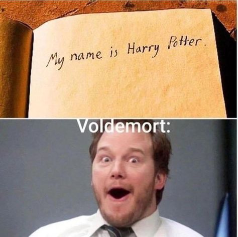 Harry Potter Voldemort, Glume Harry Potter, Funny Harry Potter Jokes, Harry Potter Feels, Harry Potter Puns, Images Harry Potter, Harry Potter Tumblr, Harry Potter Fanfiction, Harry Potter Jokes