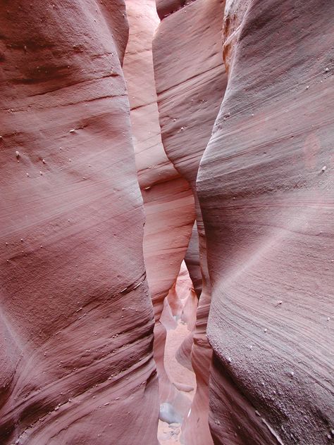 Slot Canyon at the end of Labyrinth Canyon Arizona USA Slot Canyons, Rosé Aesthetic, Texture Inspiration, Collage Vintage, Color Inspo, Everything Pink, Color Textures, Pink Aesthetic, Dusty Rose